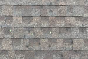 A square of shingles that are totaled because hail damaged them. This roof needs a roof repair or to be replaced
